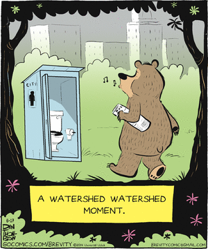 brevity